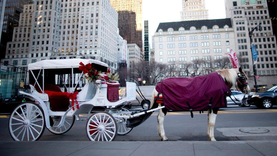 Photo via original news source -- used for news-reporting purposes